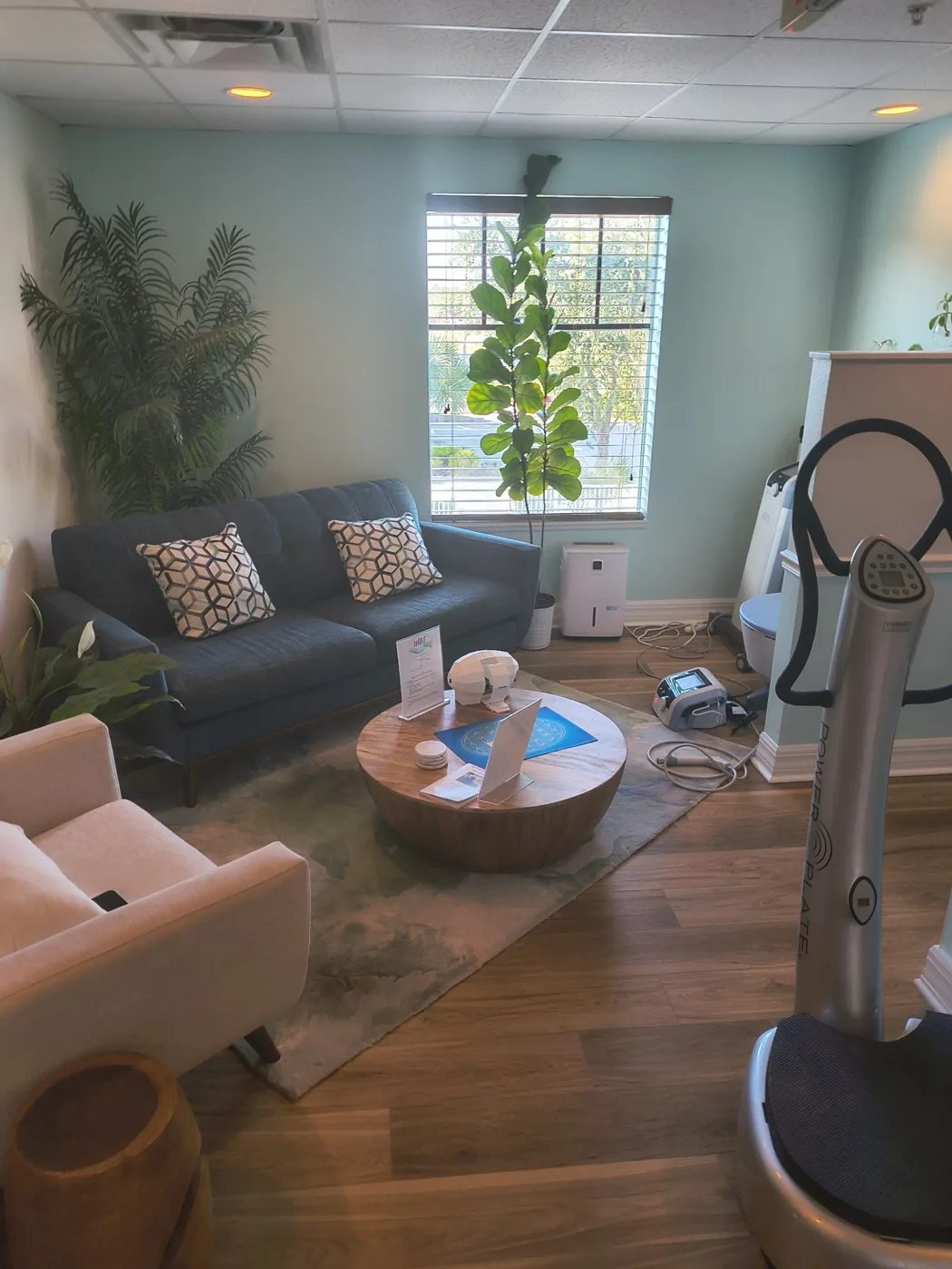 WAVE Integrative Wellness Sanctuary lounge in Sarasota with wood accent wall and plants